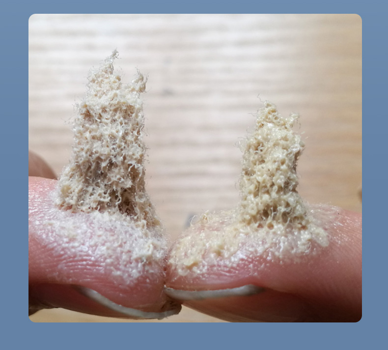 盾尾密封油脂細(xì)節(jié)展示